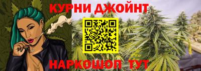 a pvp Заводоуковск