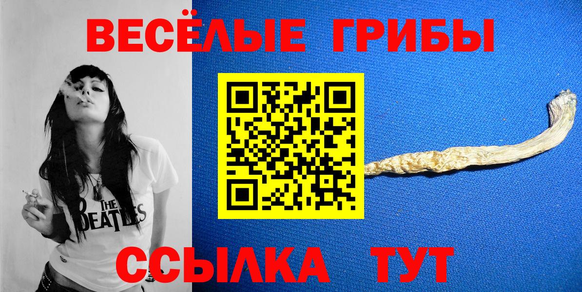 Кулебаки  Псилоцибиновые грибы Psilocybe  Вход с VPN 
